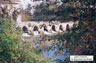 Pont romain sur le Dropt à la Sauvetat (65 ko)
